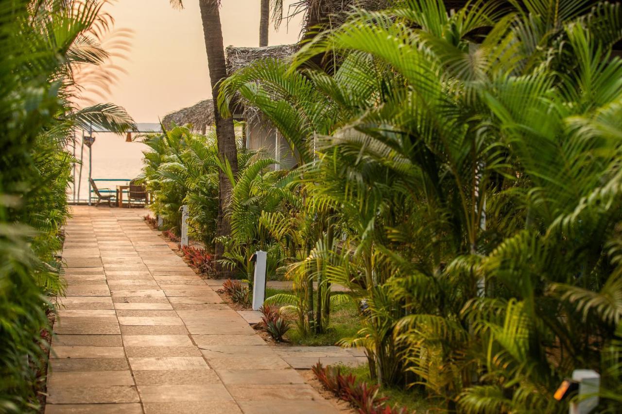 Agonda Shell Beach Resort คานาโคนา ภายนอก รูปภาพ