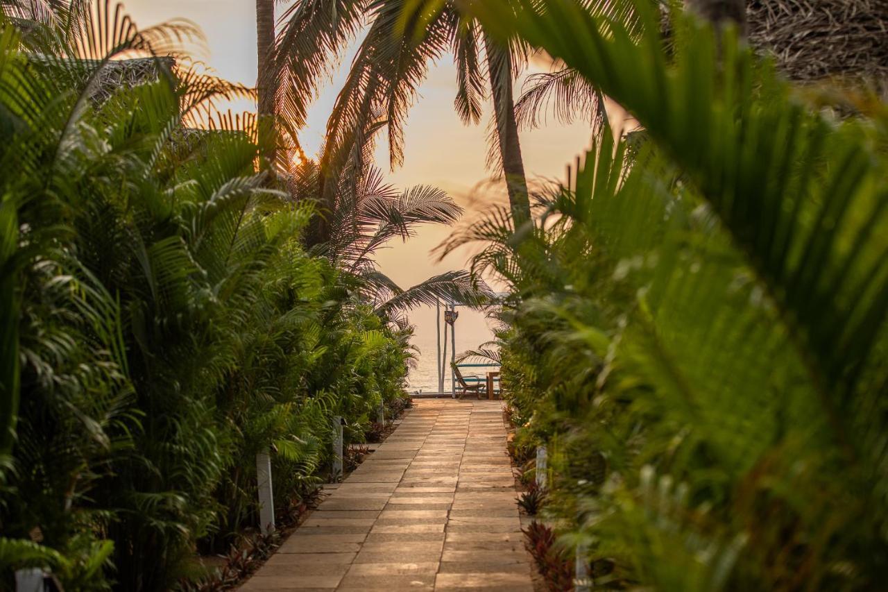 Agonda Shell Beach Resort คานาโคนา ภายนอก รูปภาพ